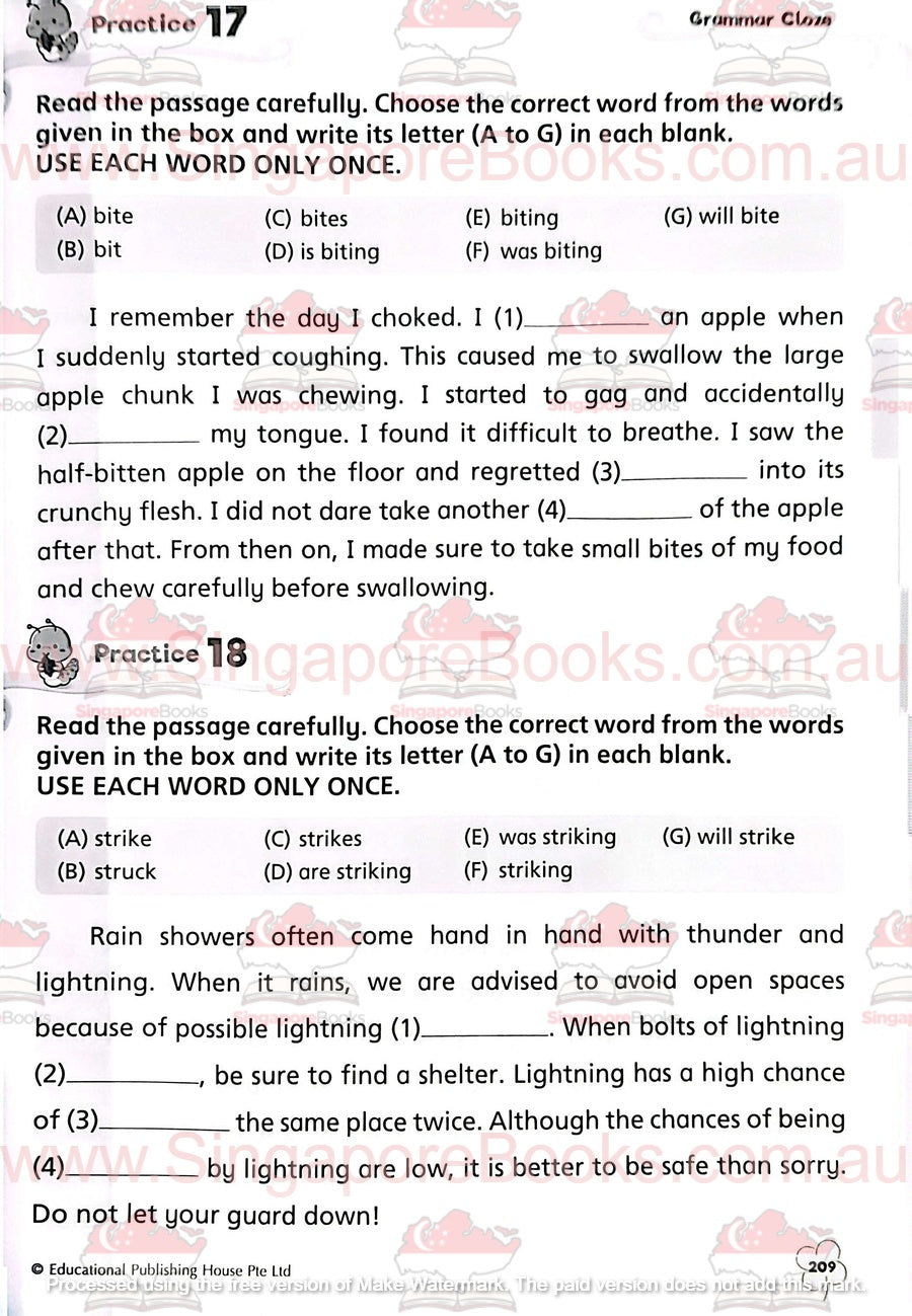 Complete Practice Book for Grammar, Vocabulary & Comprehension Primary 4 - Singapore Books
