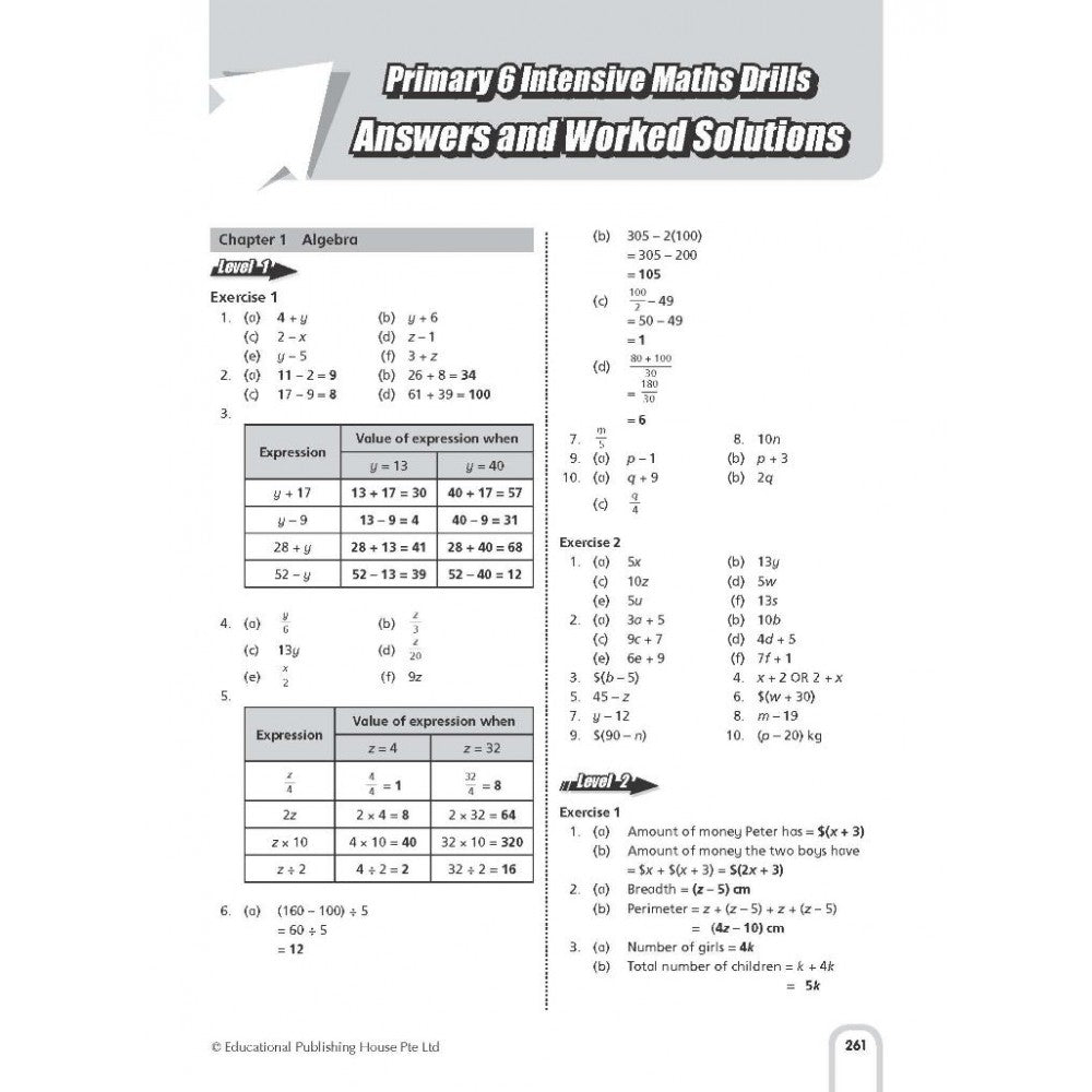 Intensive Maths Drills Primary 6