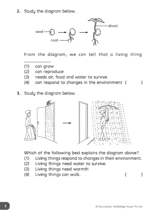 Daily Dose of Science Primary 3 - Singapore Books