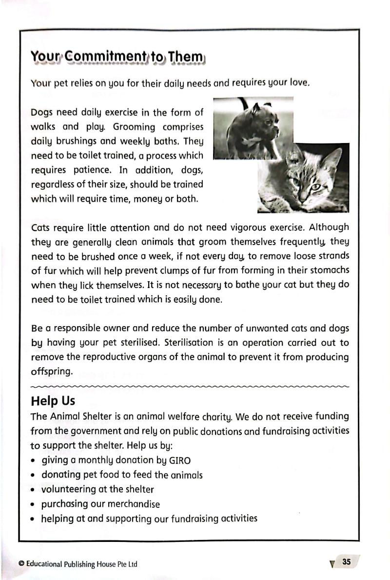 Sample - Level Up your Comprehension Skills Primary 6 - Singapore Books