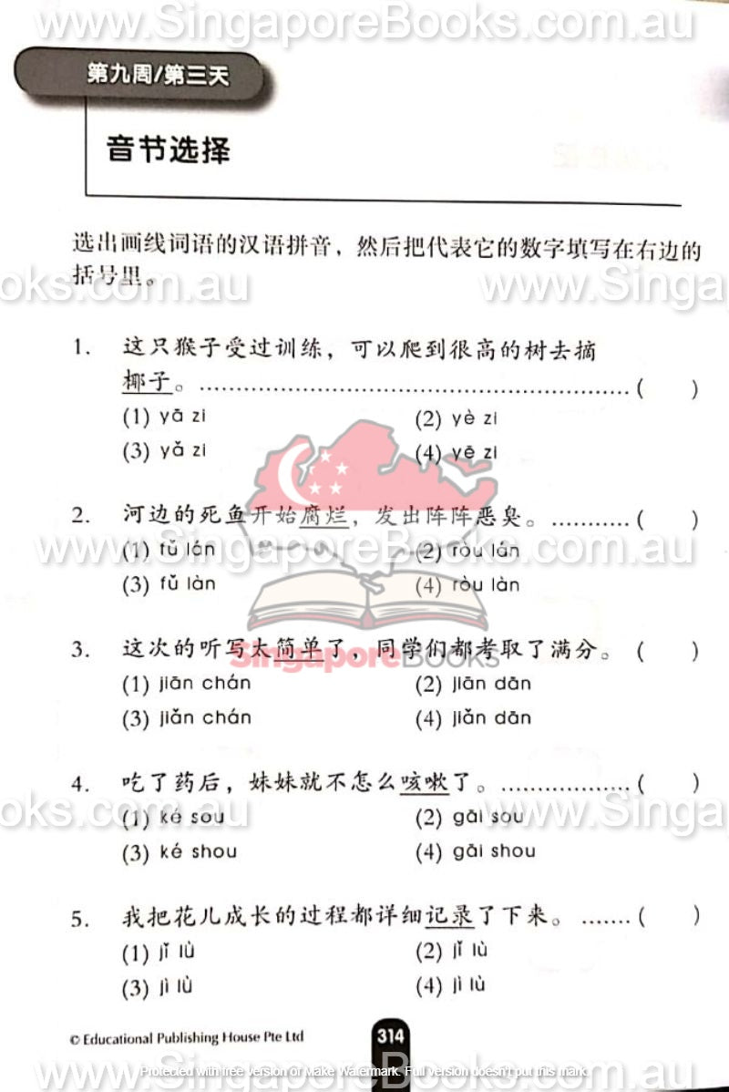 Daily Dose of Chinese Primary 5 华文日日补五年级 - Singapore Books