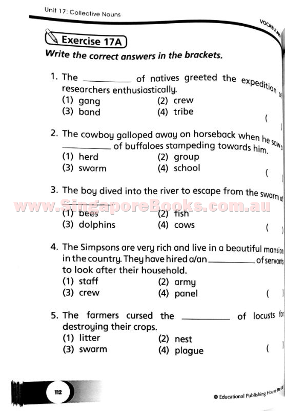 Ultimate Guide for Grammar, Vocabulary & Comprehension Primary 2 - Singapore Books