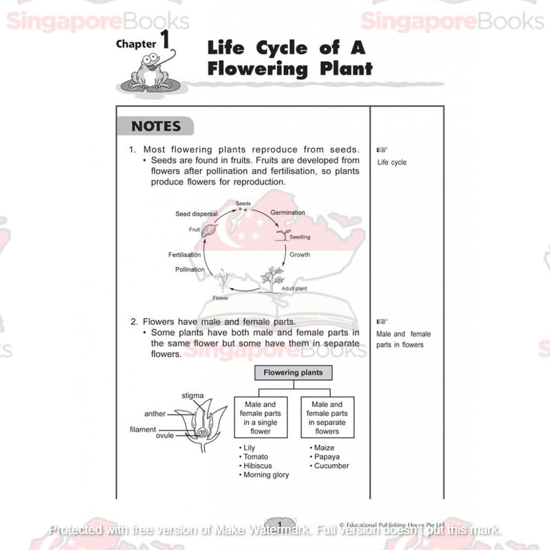 Upper block Science 3 in 1 (Primary 5 and 6) - Singapore Books