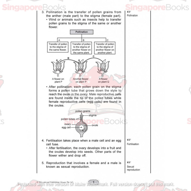 Upper block Science 3 in 1 (Primary 5 and 6) - Singapore Books