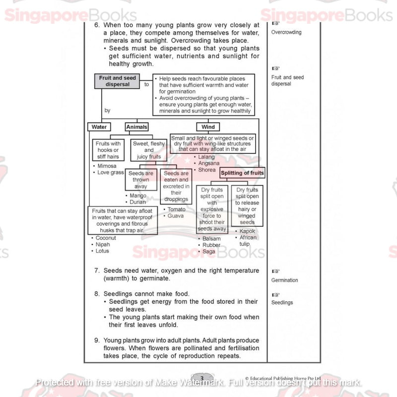 Upper block Science 3 in 1 (Primary 5 and 6) - Singapore Books