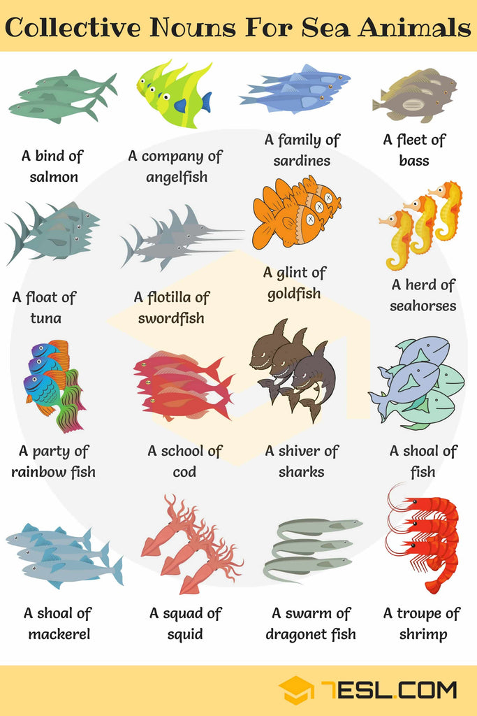 Collective Noun for Sea Animals