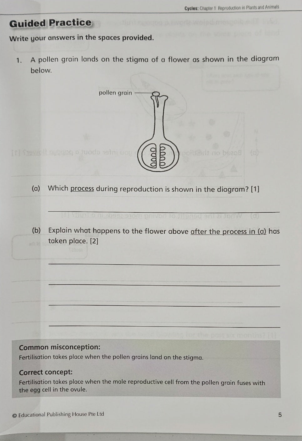 Upper Block Give the Right Answer for Science Open-ended Questions (Primary 5 & 6) - Singapore Books