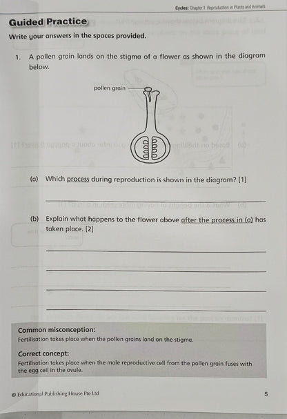 Upper Block Give the Right Answer for Science Open-ended Questions (Primary 5 & 6) - Singapore Books