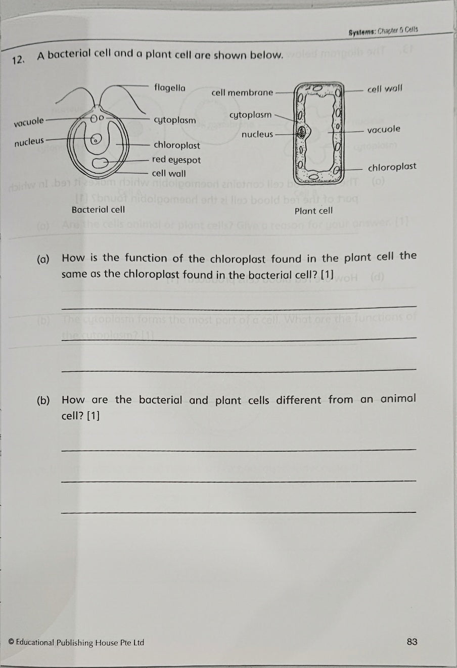Upper Block Give the Right Answer for Science Open-ended Questions (Primary 5 & 6) - Singapore Books