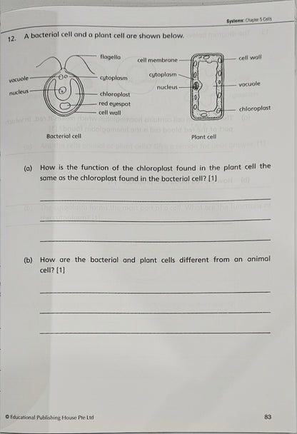 Upper Block Give the Right Answer for Science Open-ended Questions (Primary 5 & 6) - Singapore Books