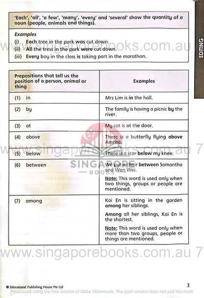 Editing, Synthesis & Transformation Primary 6 - Singapore Books