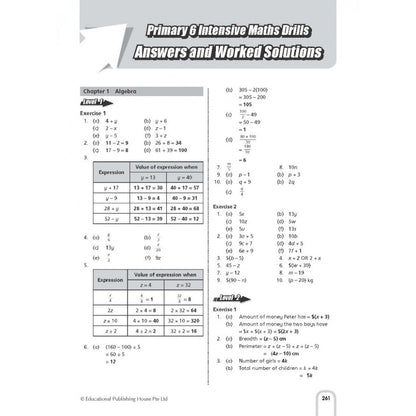 Intensive Maths Drills Primary 6
