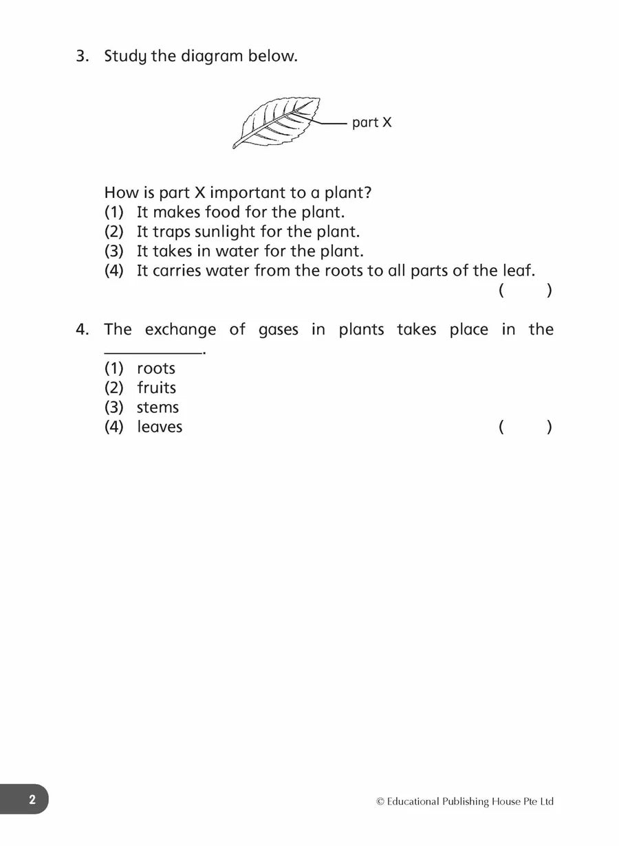 Daily Dose of Science Primary 4 - Singapore Books