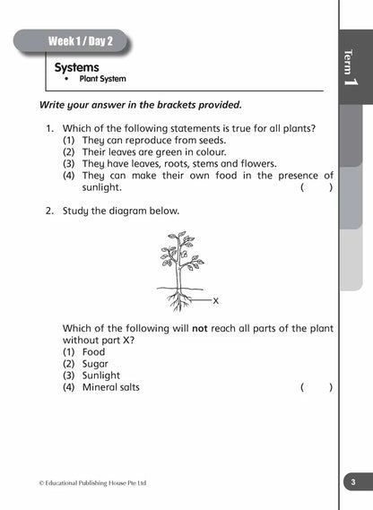 Daily Dose of Science Primary 4 - Singapore Books