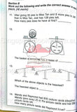 Andrew Er'S Maths Worksheets Primary 2 - Singapore Books