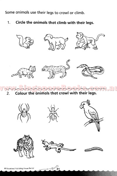 Bridging from K2 (Prep) to Primary 1 Science - Singapore Books