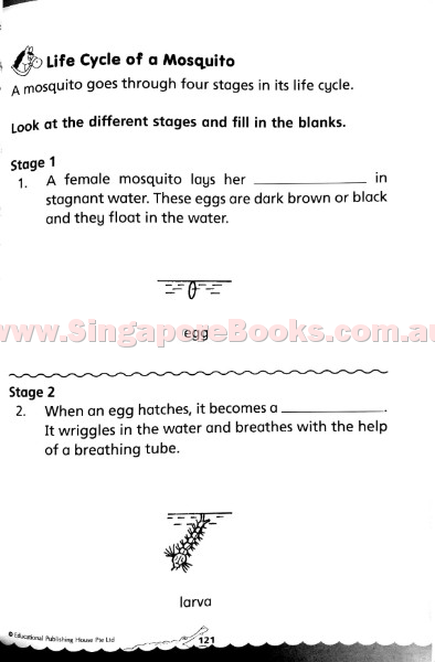 Bridging from K2 (Prep) to Primary 1 Science - Singapore Books