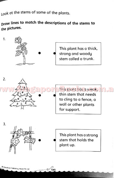 Bridging from K2 (Prep) to Primary 1 Science - Singapore Books