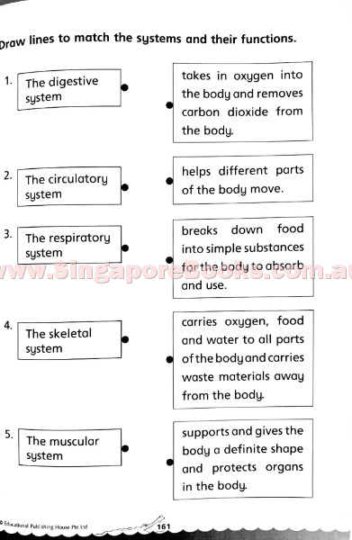 Bridging from K2 (Prep) to Primary 1 Science - Singapore Books