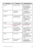 English Thematic Composition Writing Primary 4 - Singapore Books