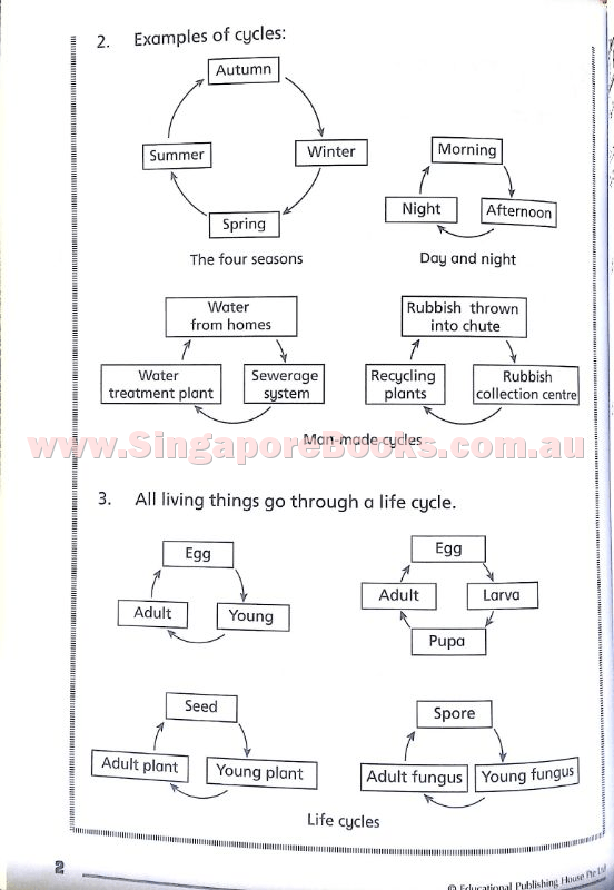 Getting Science Concepts Right (open-ended questions) Primary 4 - Singapore Books