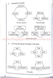 Getting Science Concepts Right (open-ended questions) Primary 4 - Singapore Books