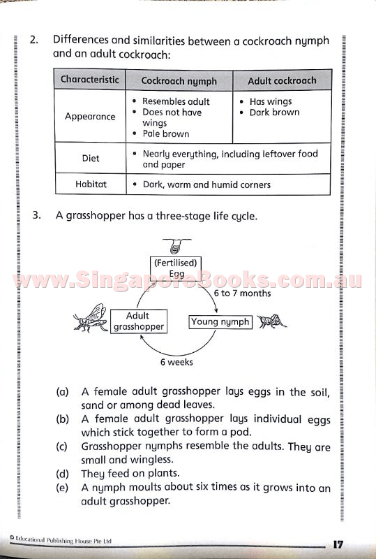 Getting Science Concepts Right (open-ended questions) Primary 4 - Singapore Books