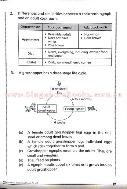 Getting Science Concepts Right (open-ended questions) Primary 4 - Singapore Books