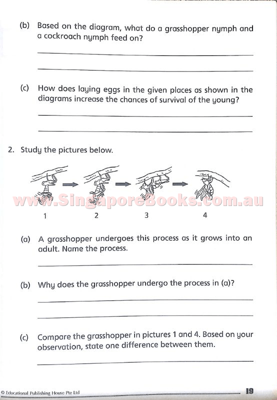 Getting Science Concepts Right (open-ended questions) Primary 4 - Singapore Books