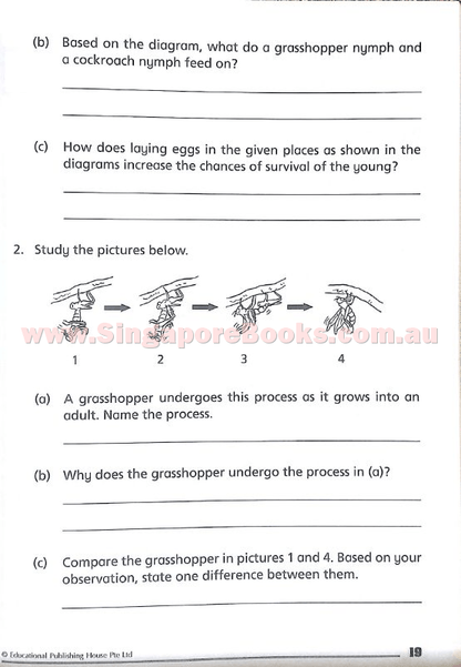 Getting Science Concepts Right (open-ended questions) Primary 4 - Singapore Books