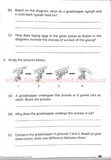 Getting Science Concepts Right (open-ended questions) Primary 4 - Singapore Books