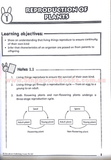 Getting Science Concepts Right (open-ended questions) Primary 5 - Singapore Books