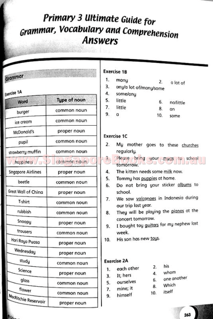 Ultimate Guide for Grammar, Vocabulary & Comprehension Primary 3 - Singapore Books