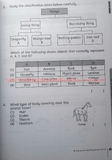 Ultimate Science for lower block guide & workbook (Primary 3 and 4) - Singapore Books