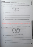 Ultimate Science for lower block guide & workbook (Primary 3 and 4) - Singapore Books