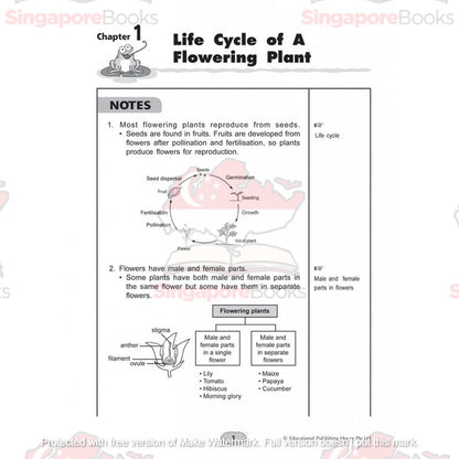 Upper block Science 3 in 1 (Primary 5 and 6) - Singapore Books