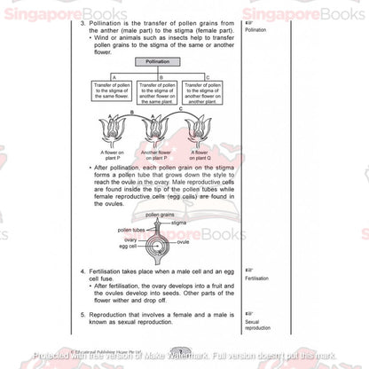 Upper block Science 3 in 1 (Primary 5 and 6) - Singapore Books