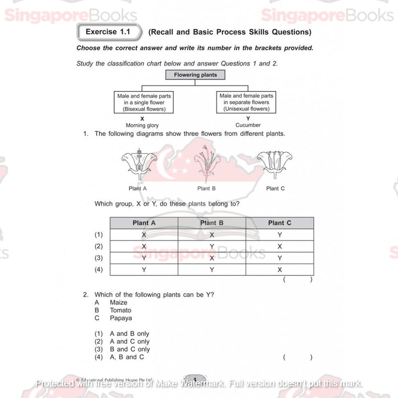 Upper block Science 3 in 1 (Primary 5 and 6) - Singapore Books