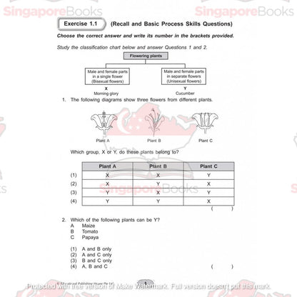 Upper block Science 3 in 1 (Primary 5 and 6) - Singapore Books