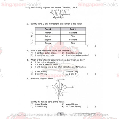 Upper block Science 3 in 1 (Primary 5 and 6) - Singapore Books