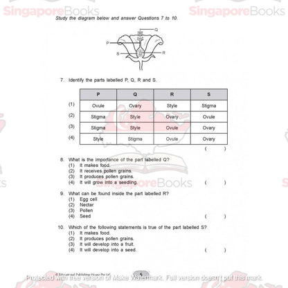 Upper block Science 3 in 1 (Primary 5 and 6) - Singapore Books